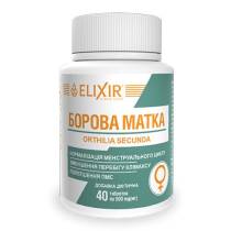 "Борова матка" №40